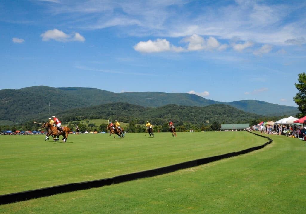 king Family polo picnic polo field