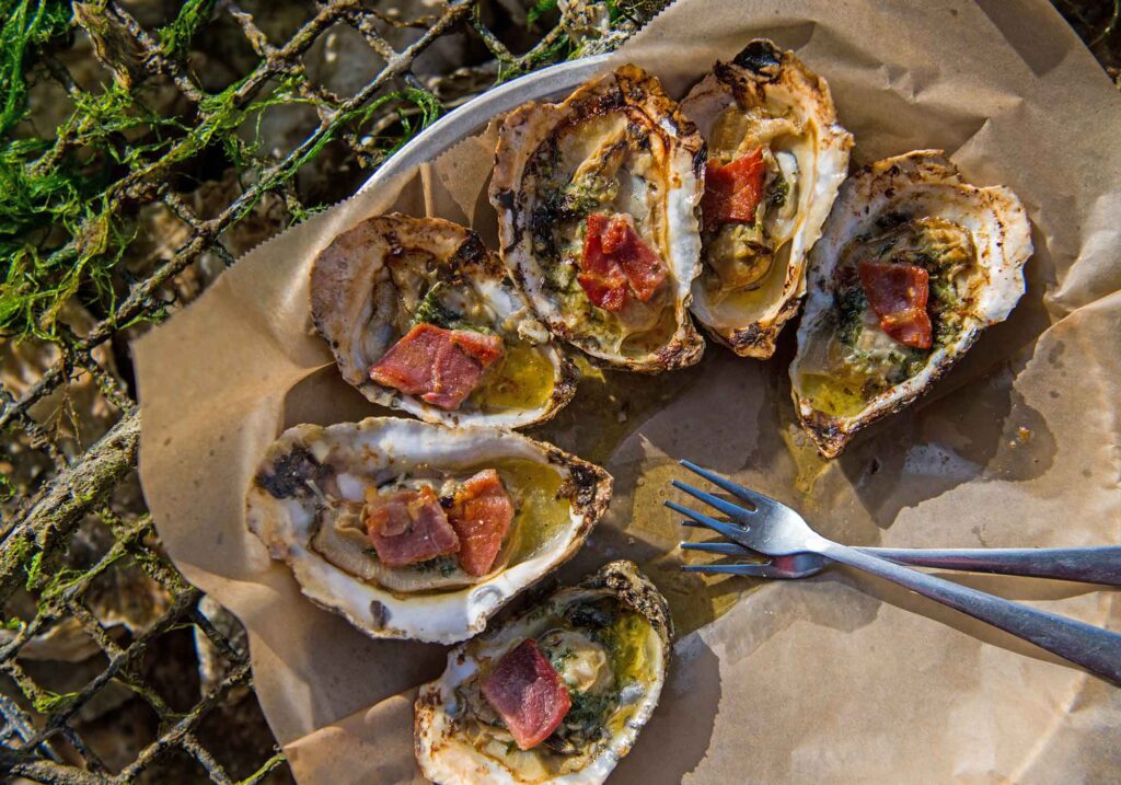 Rappahannock oysters