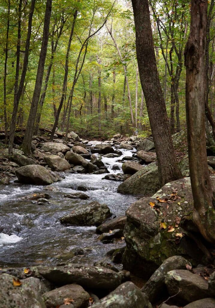 Wiking wine hikes white oak canyon