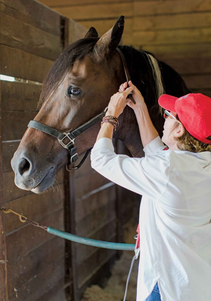 Artist Martha Strawther bridling a horse