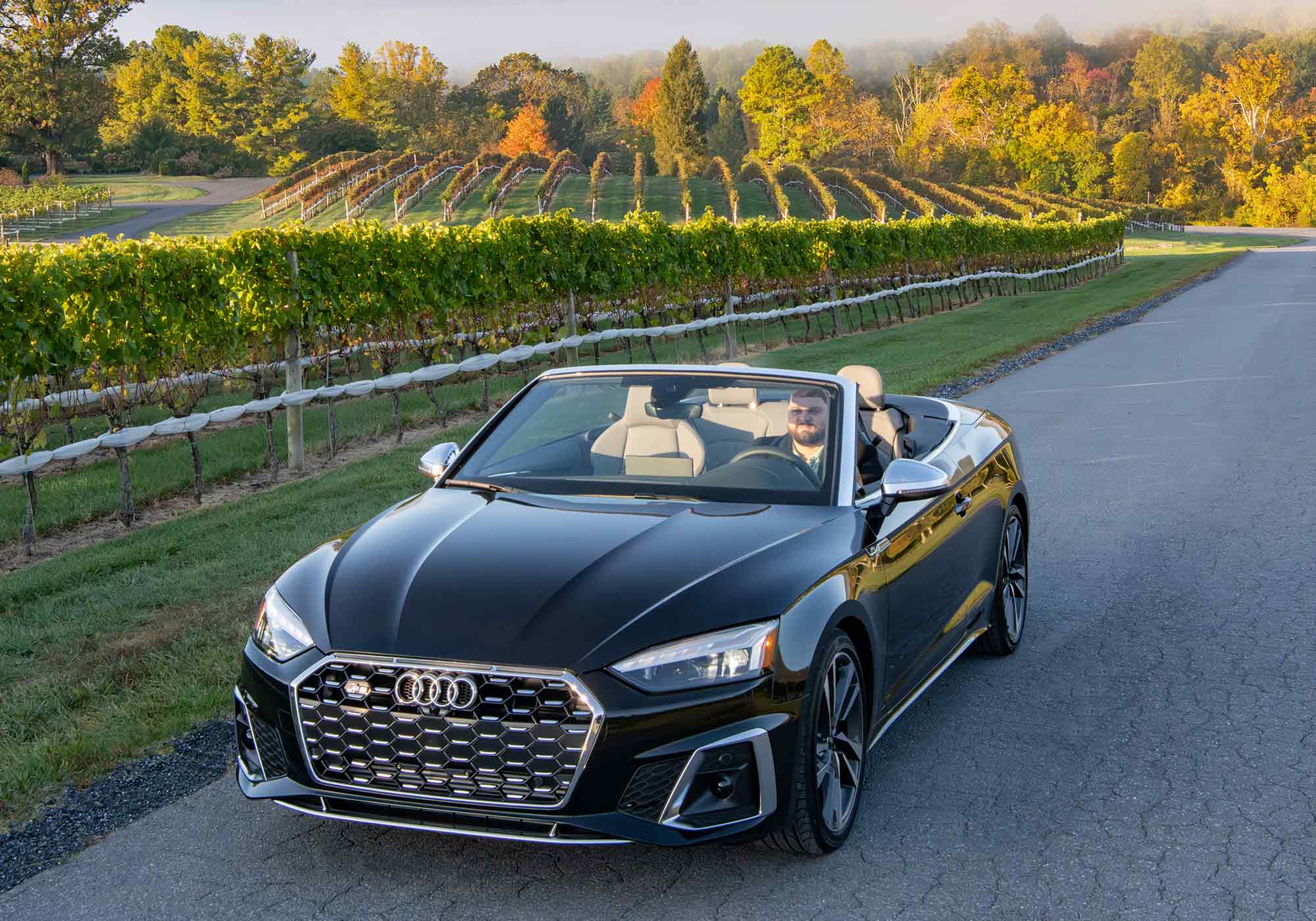 Photo of Audi model next to vineyard, taken by RL Johnson