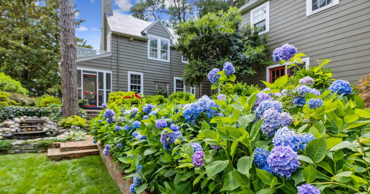 Photo of a garden next to a house