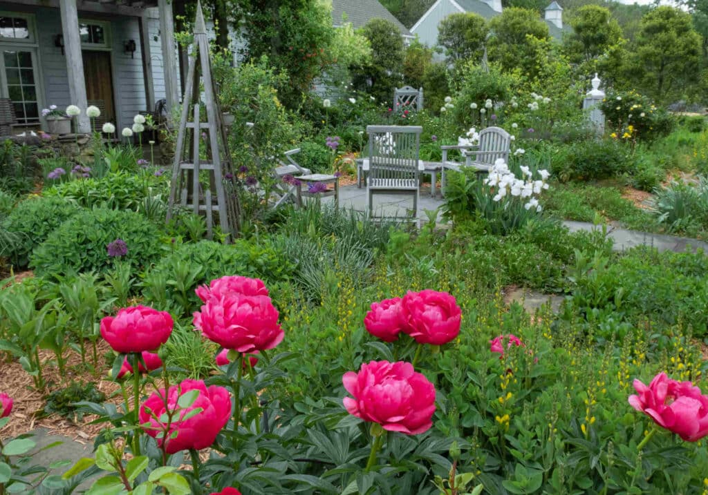 Photo of garden in Orange, Virginia